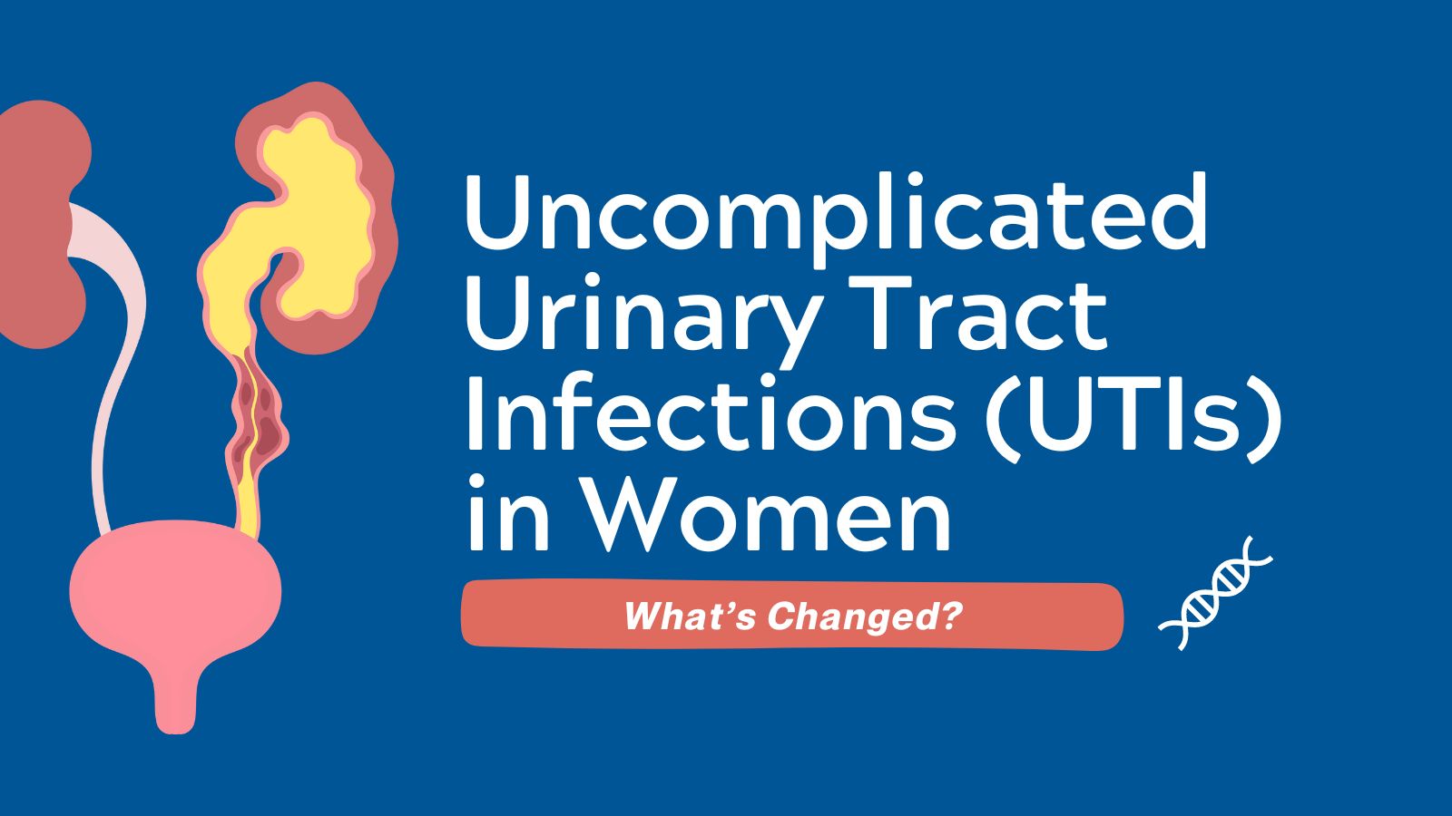 Uncomplicated Urinary Tract Infections in Women - What's Changed featured image