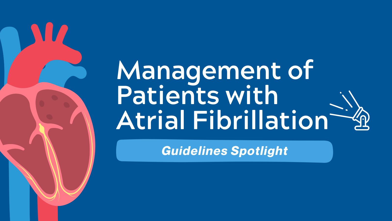 Management of Patients With Atrial Fibrillation - Guidelines Spotlight featured image