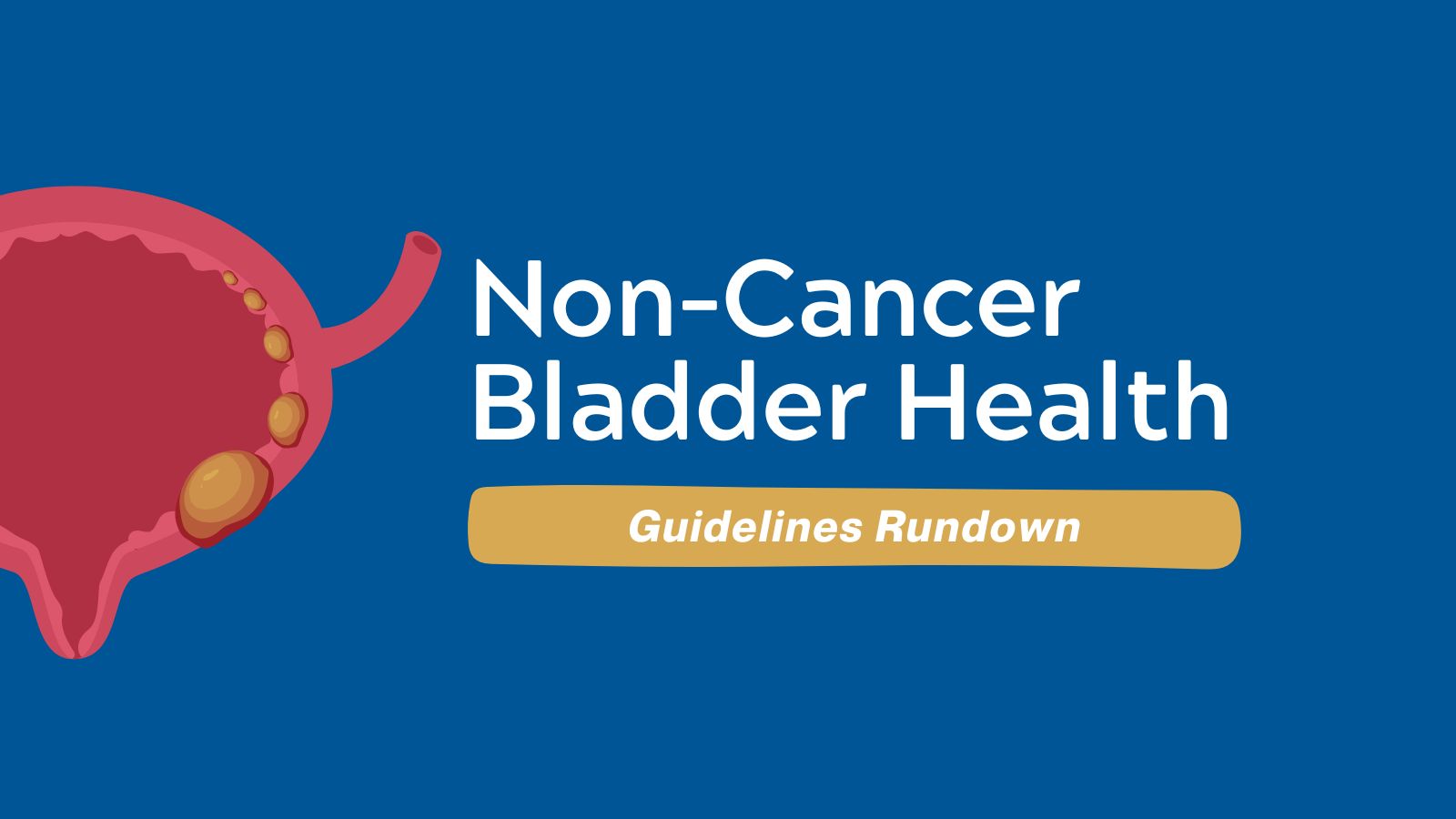 Non-Cancer Bladder Health - Guidelines Rundown (Bladder Health Awareness Month) featured image
