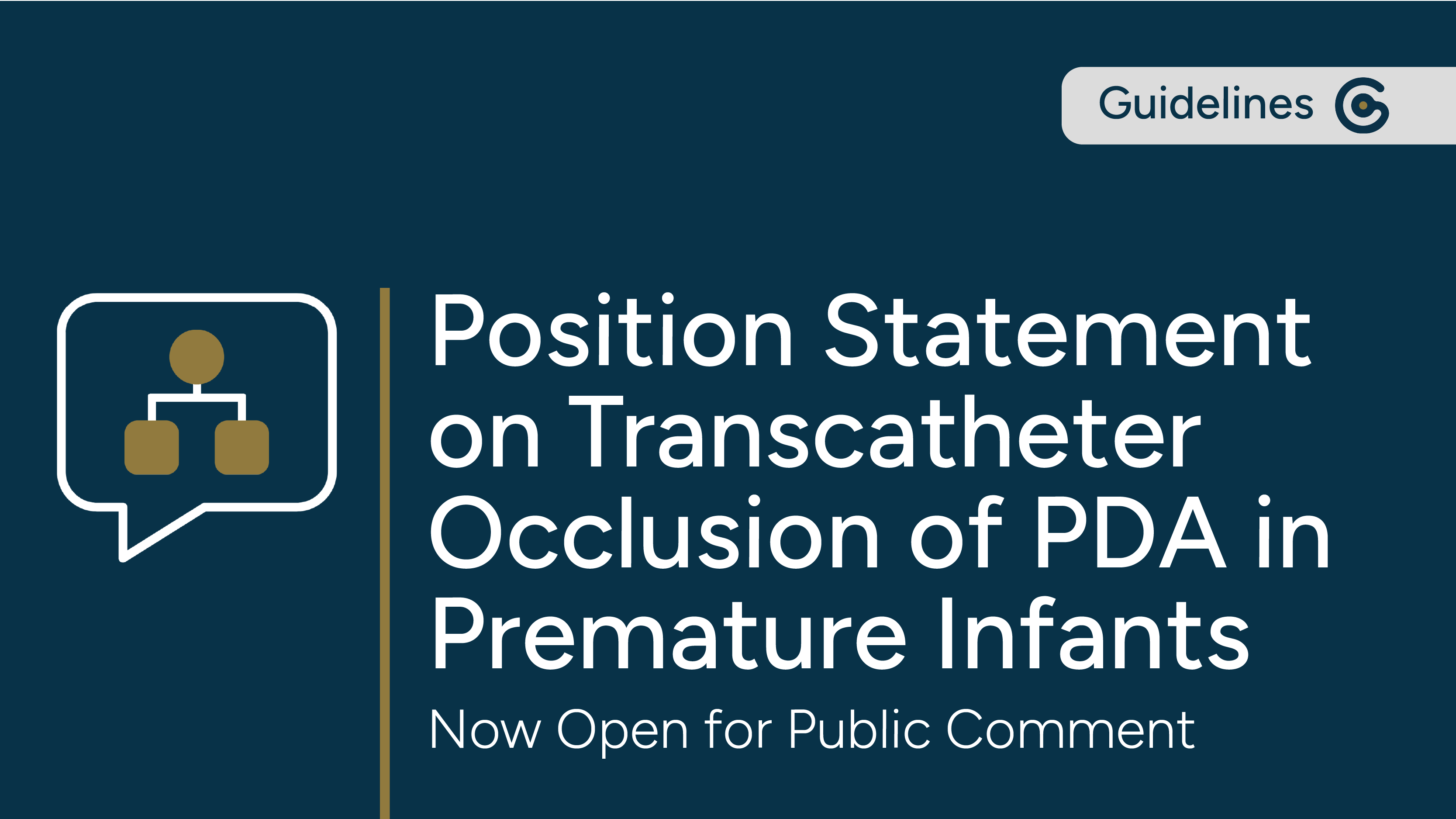 SCAI’s Position Statement on Transcatheter Occlusion of PDA in Premature Infants is Now Open for Public Comment post image