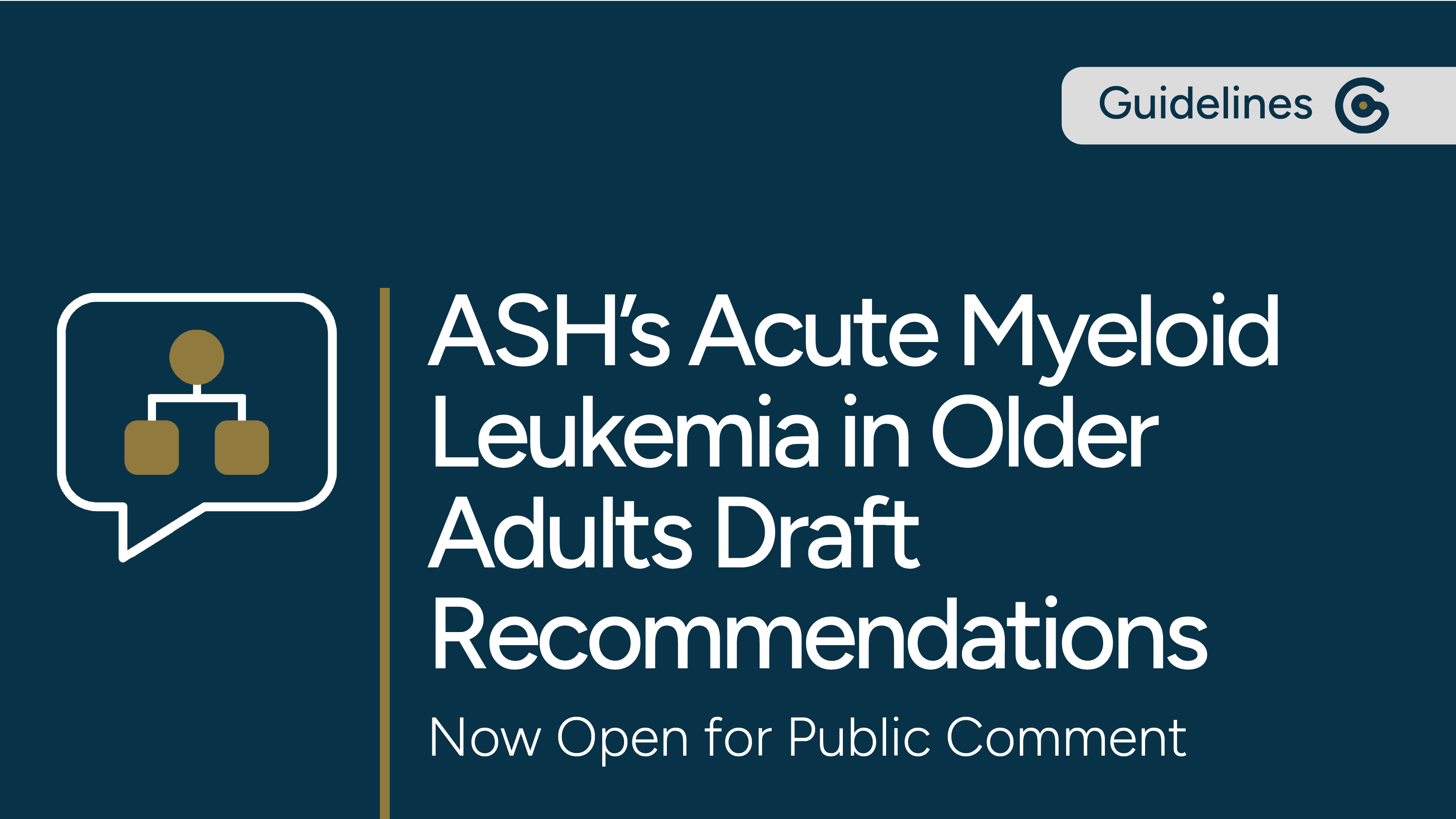 ASH’s Acute Myeloid Leukemia in Older Adults Draft Recommendations are Now Open for Public Comment post image