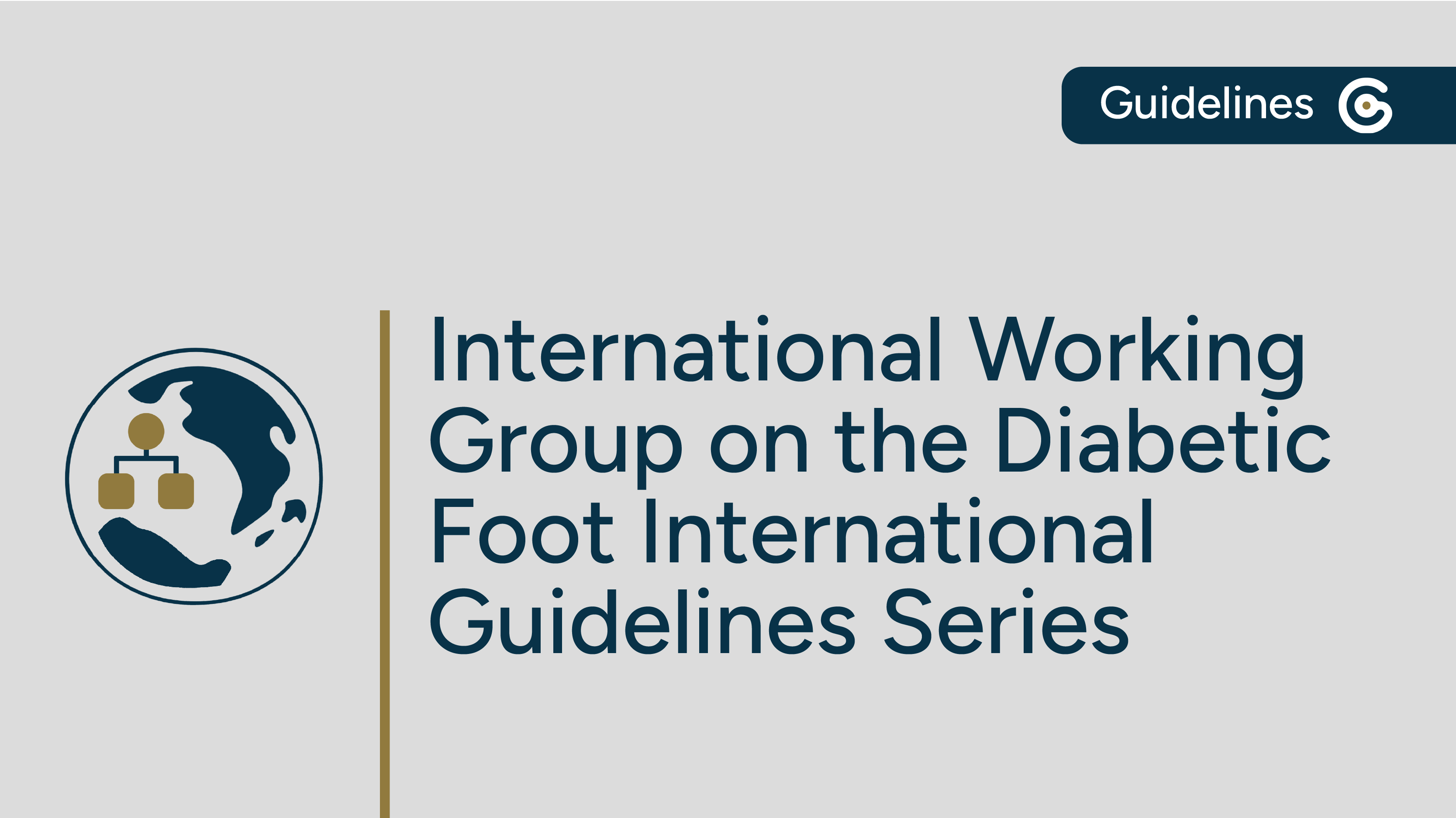 International Working Group on the Diabetic Foot International Guidelines Series post image