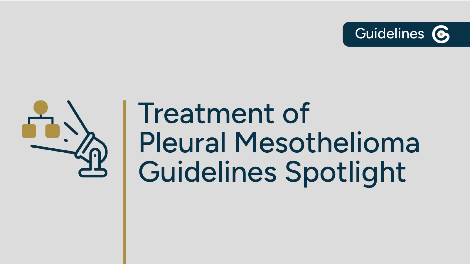 Treatment of Pleural Mesothelioma Guidelines Spotlight featured image