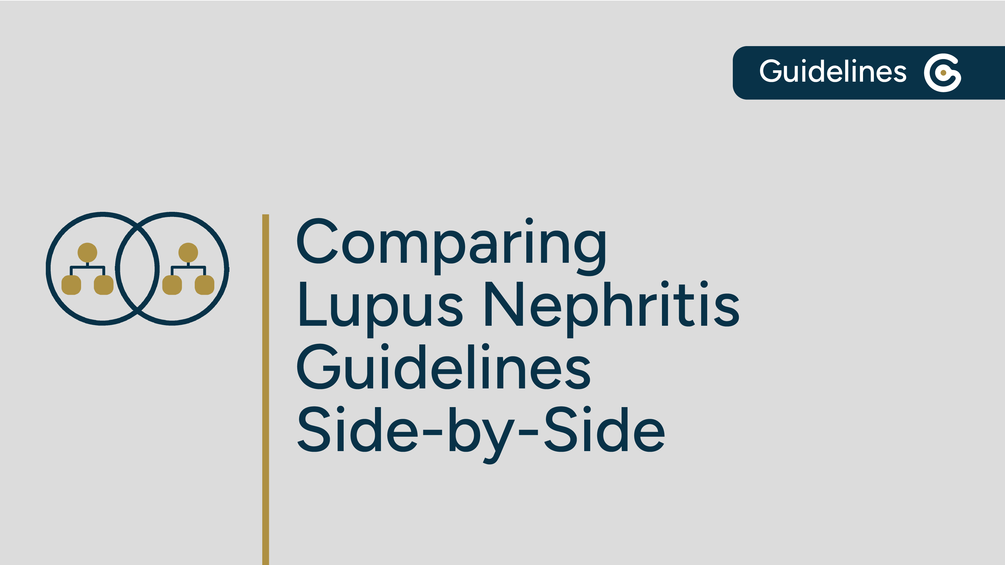 Comparing Two Lupus Nephritis Clinical Guidelines Side-by-Side post image