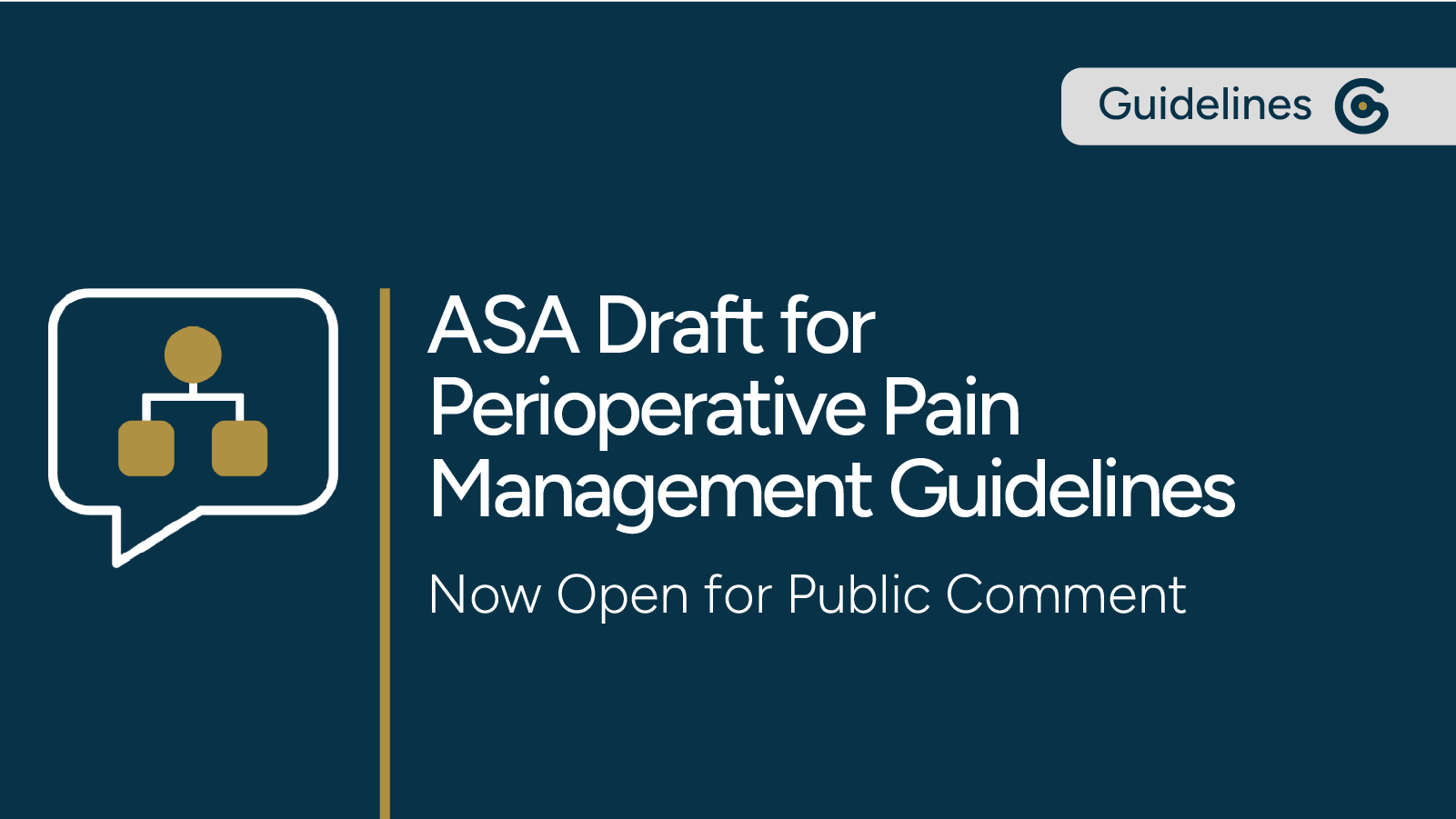ASA Draft for Perioperative Pain Management Now Open For Public Comment post image