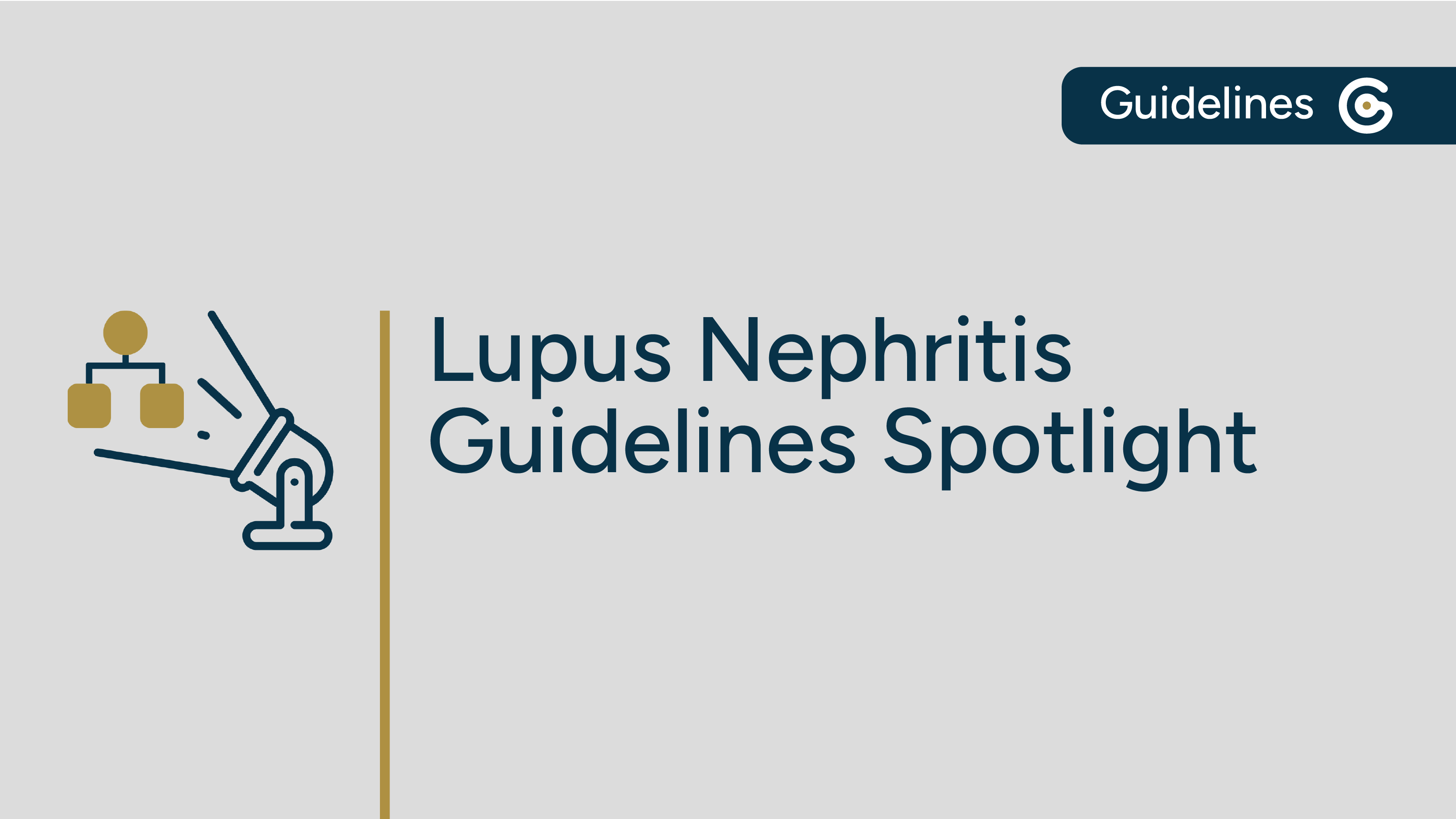 Lupus Nephritis Guidelines Spotlight post image