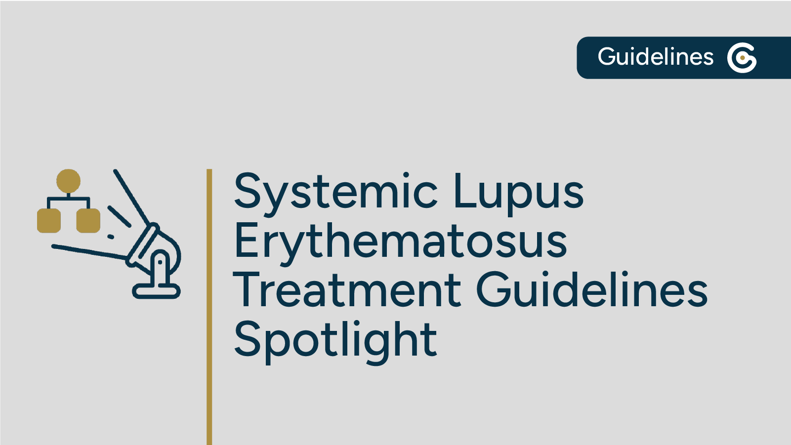 2025 ACR Systemic Lupus Erythematosus Guidelines Summary Now Available featured image