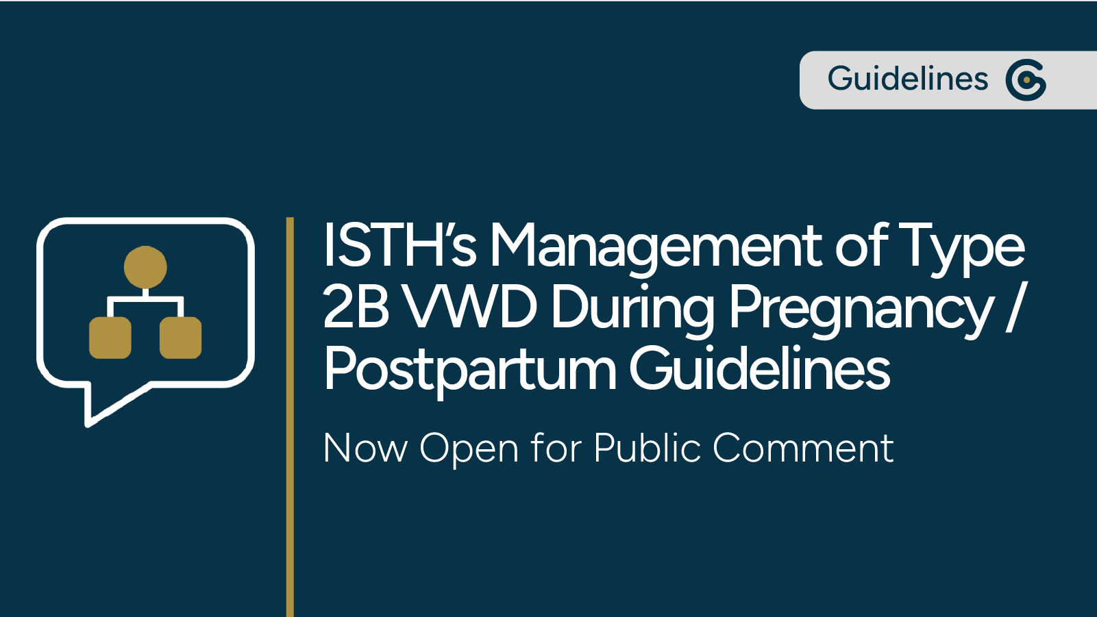 ISTH's Management of Women with Type 2B VWD During Pregnancy and Postpartum Guidelines Now Open For Public Comment post image
