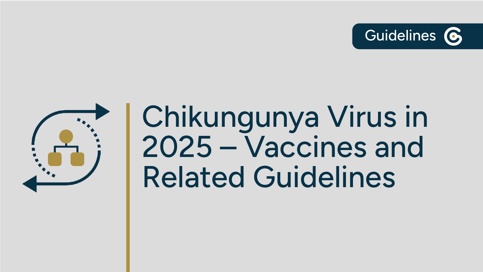 Mosquito-Spread Chikungunya Virus – Vaccines and Related Guidelines in 2025 featured image