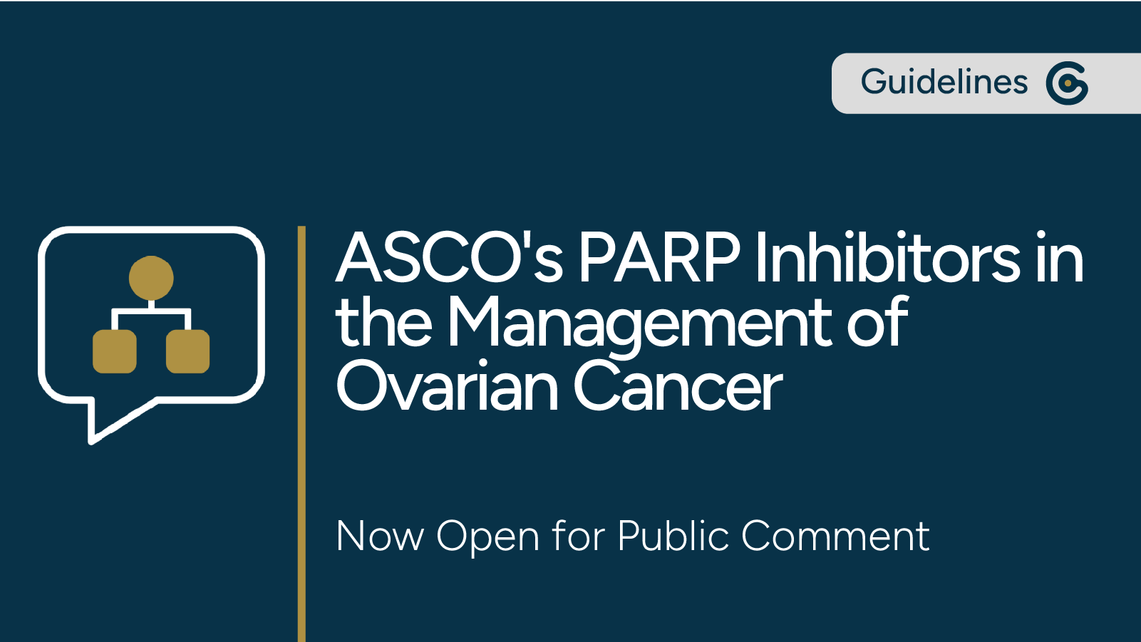 ASCO Guideline Update for PARP Inhibitors in the Management of Ovarian Cancer Now Open for Public Comment post image