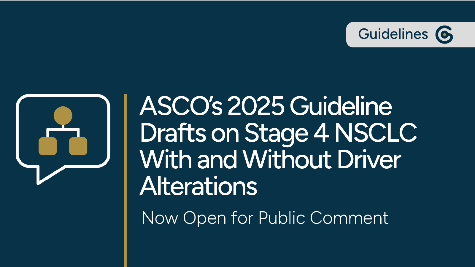 ASCO's Draft Guidelines for Stage 4 NSCLC With/Without Driver Alterations Now Open for Public Comment post image