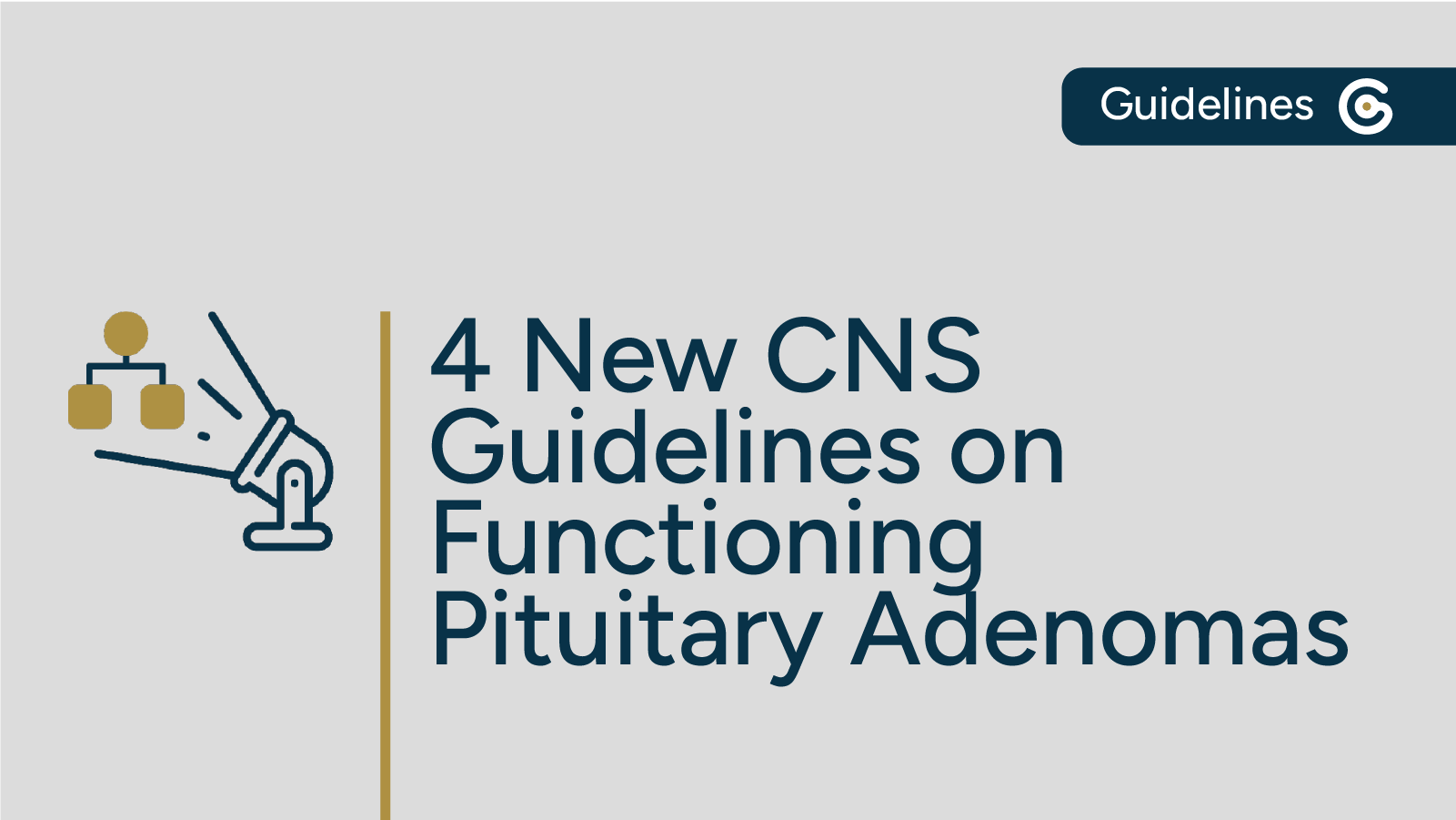 Four New 2025 CNS Functioning Pituitary Adenomas Guidelines – Key Highlights post image
