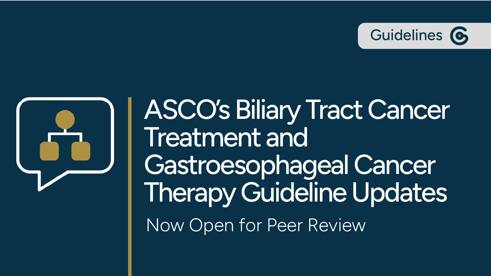 Two New ASCO Guideline Updates Open for Public Comment – Biliary Tract Cancer and Gastroesophageal Cancer post image