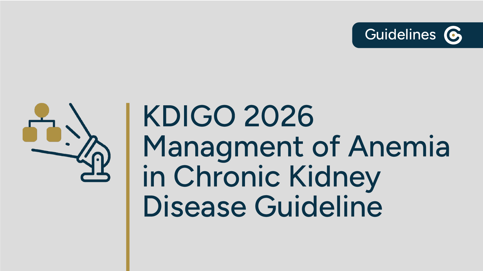 2025 KDIGO Management of Anemia in CKD Guideline Update — Key Recommendations featured image