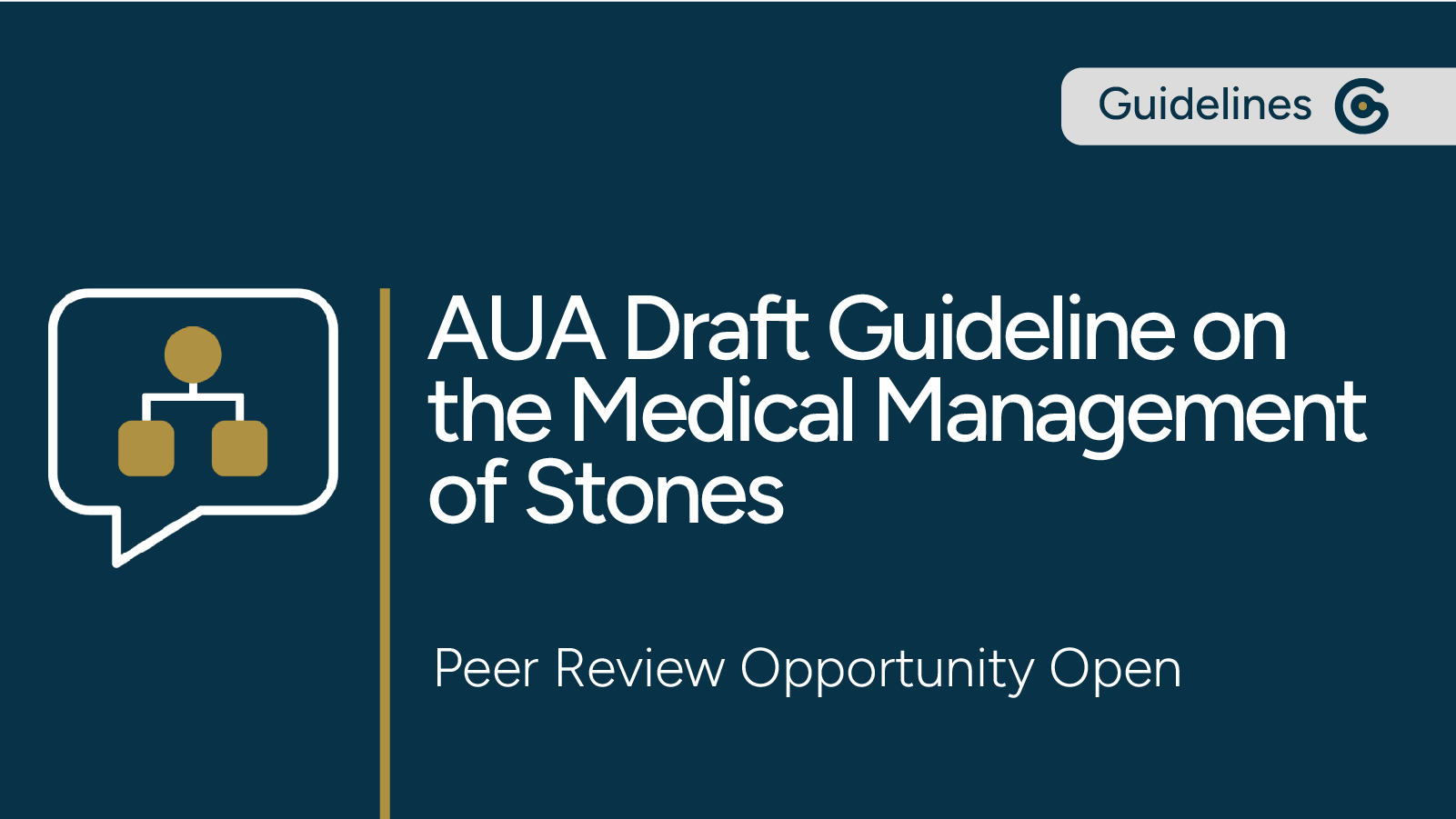AUA Draft Guideline for Medical Management of Stones Peer Review Opportunity Now Open post image