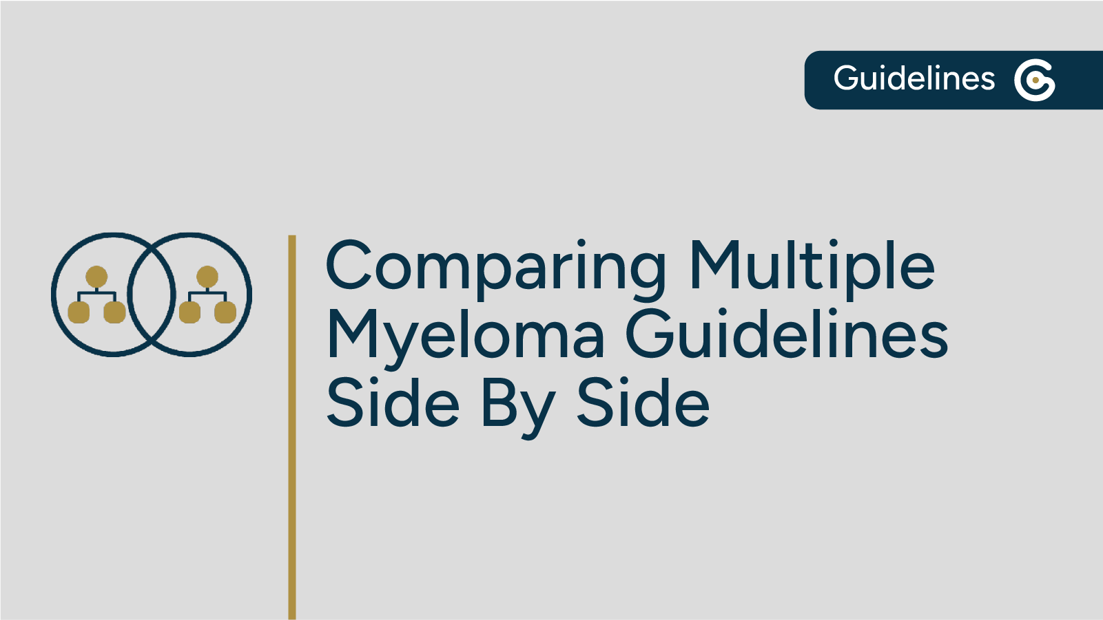 Comparing Multiple Myeloma Guidelines from ASCO/CCO and NCCN Side by Side post image