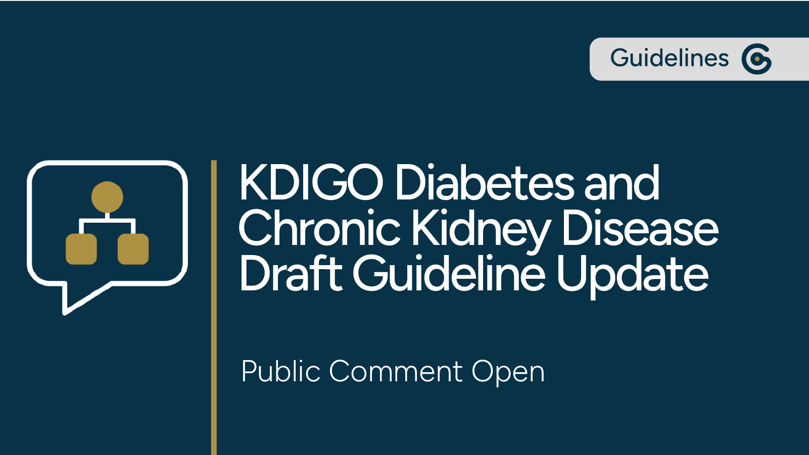 KDIGO Draft Guideline for Diabetes and Chronic Kidney Disease Now Open for Public Comment post image