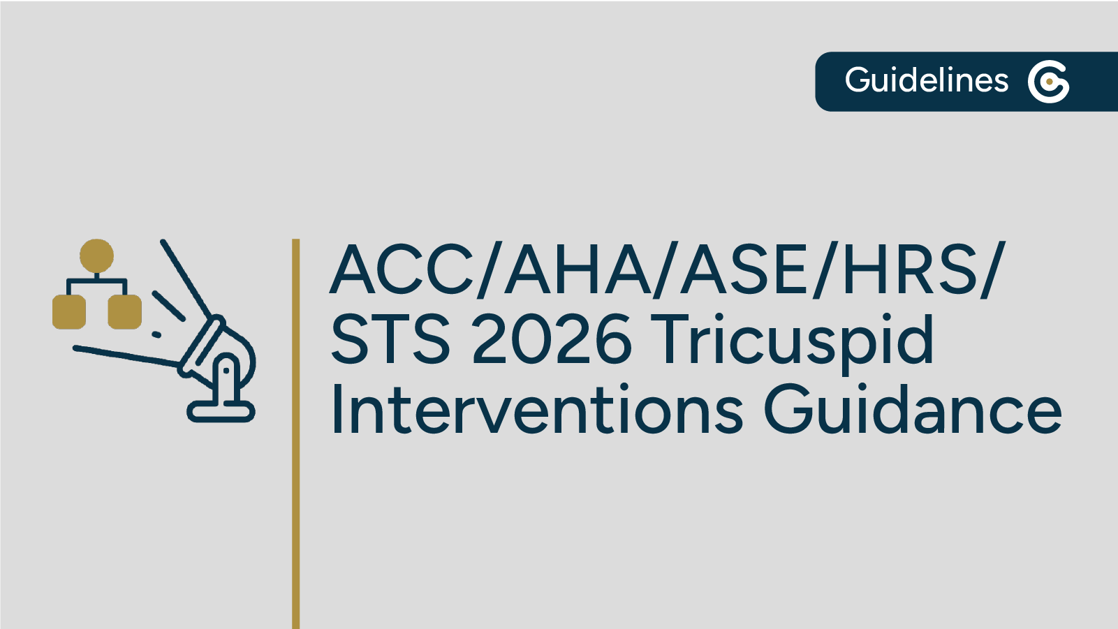 New ACC/AHA/ASE/HRS/STS Tricuspid Interventions Guidance – Key Highlights featured image
