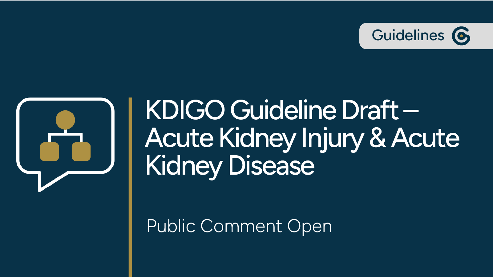 KDIGO Draft Guideline for Acute Kidney Injury and Acute Kidney Disease Now Open for Public Comment post image
