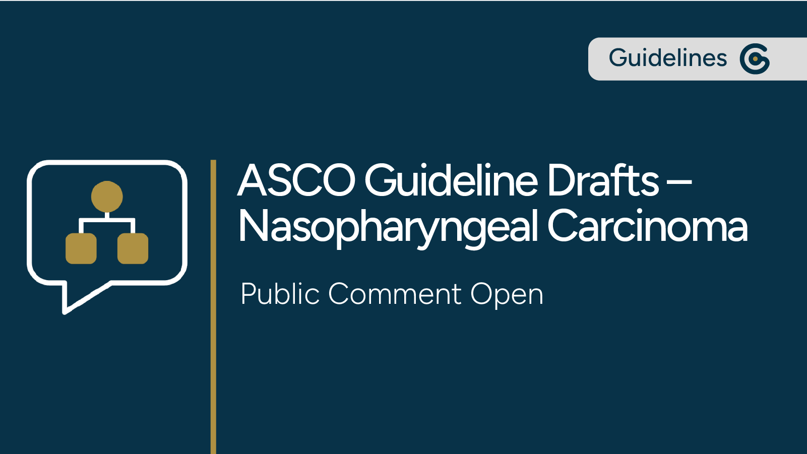 Two ASCO Draft Guidelines for Nasopharyngeal Carcinoma Now Open for Public Comment post image