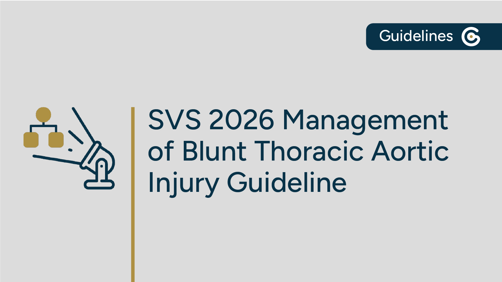 2026 SVS Management of Blunt Thoracic Aortic Injury Guideline Update post image