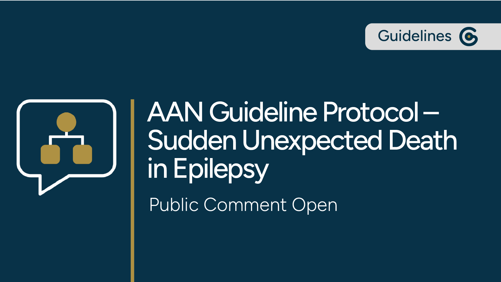 AAN Guideline Protocol for Sudden Unexpected Death in Epilepsy Incidence Rates and Risk Factors  Open to Public Comment featured image