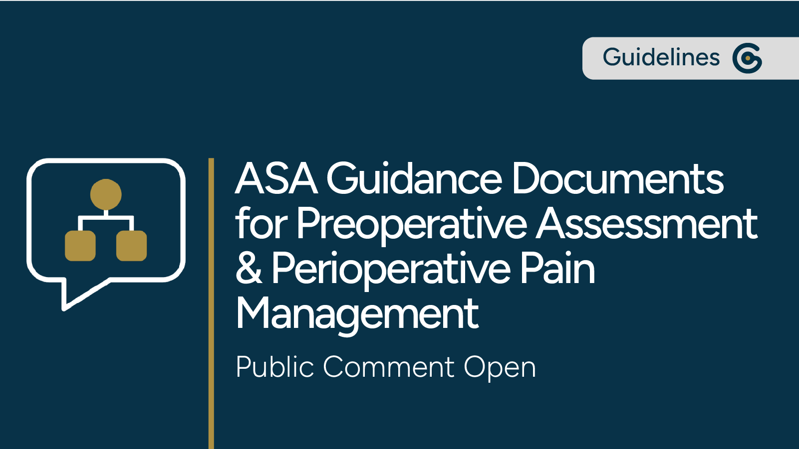 ASA Draft Guideline & Advisory Now Open for Public Comment post image