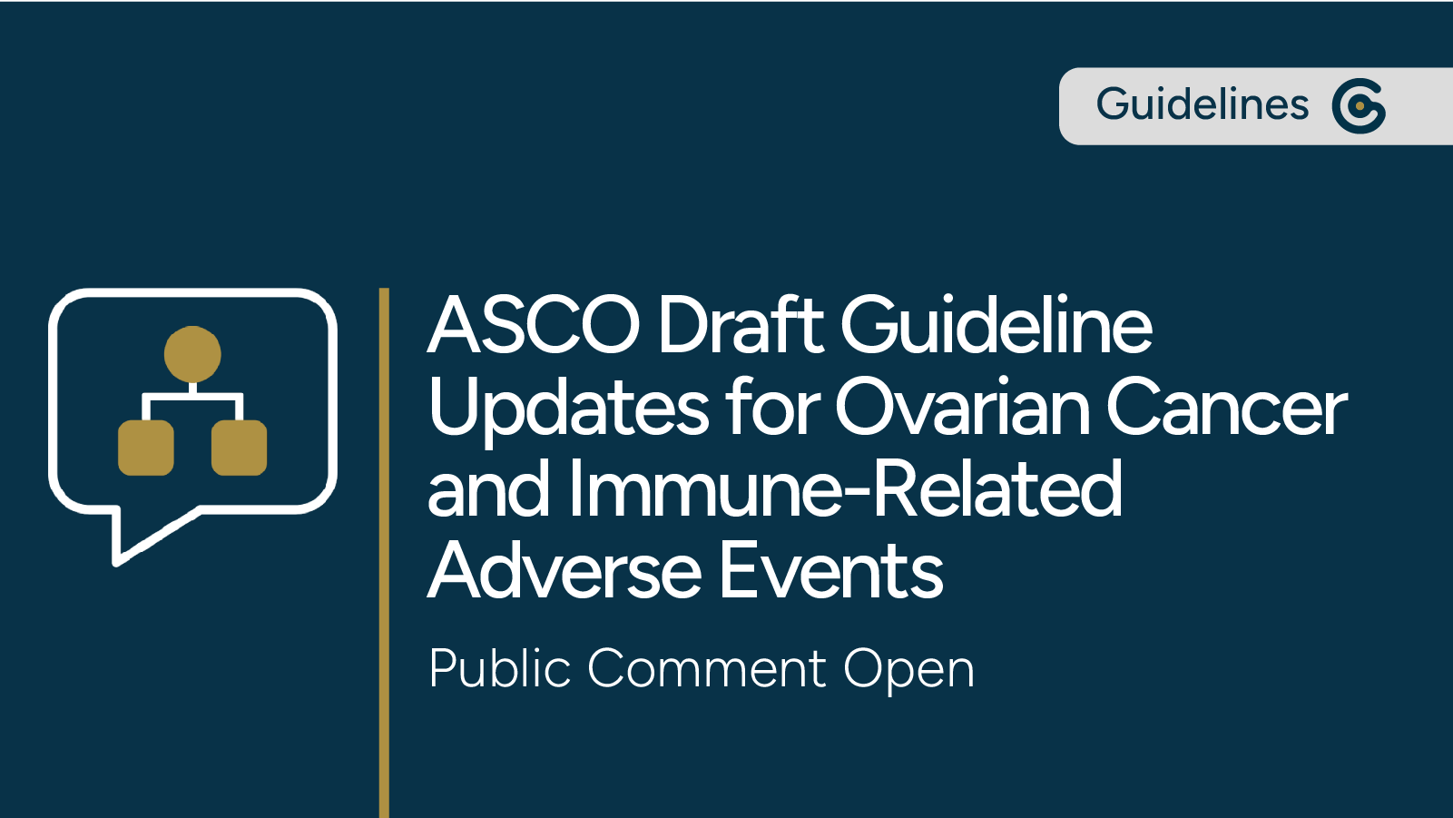 ASCO Draft Guideline Updates for Ovarian Cancer and Immune-Related Adverse Effects Now Open for Public Comment post image