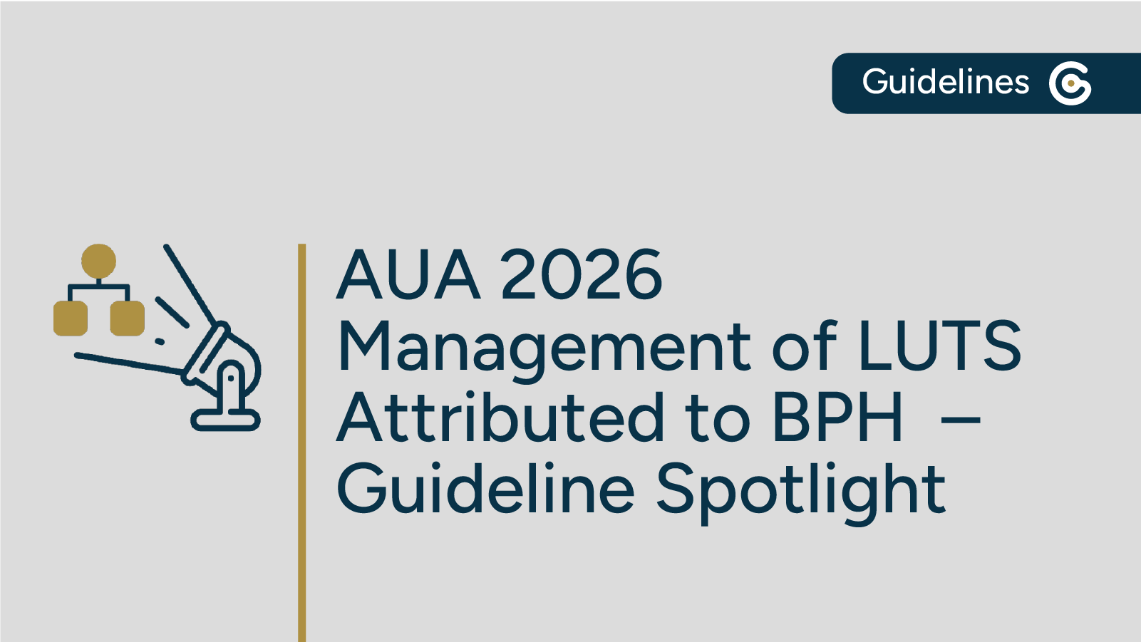 2026 AUA Management of Lower Urinary Tract Symptoms Attributed to Benign Prostatic Hyperplasia Guideline Now Available featured image