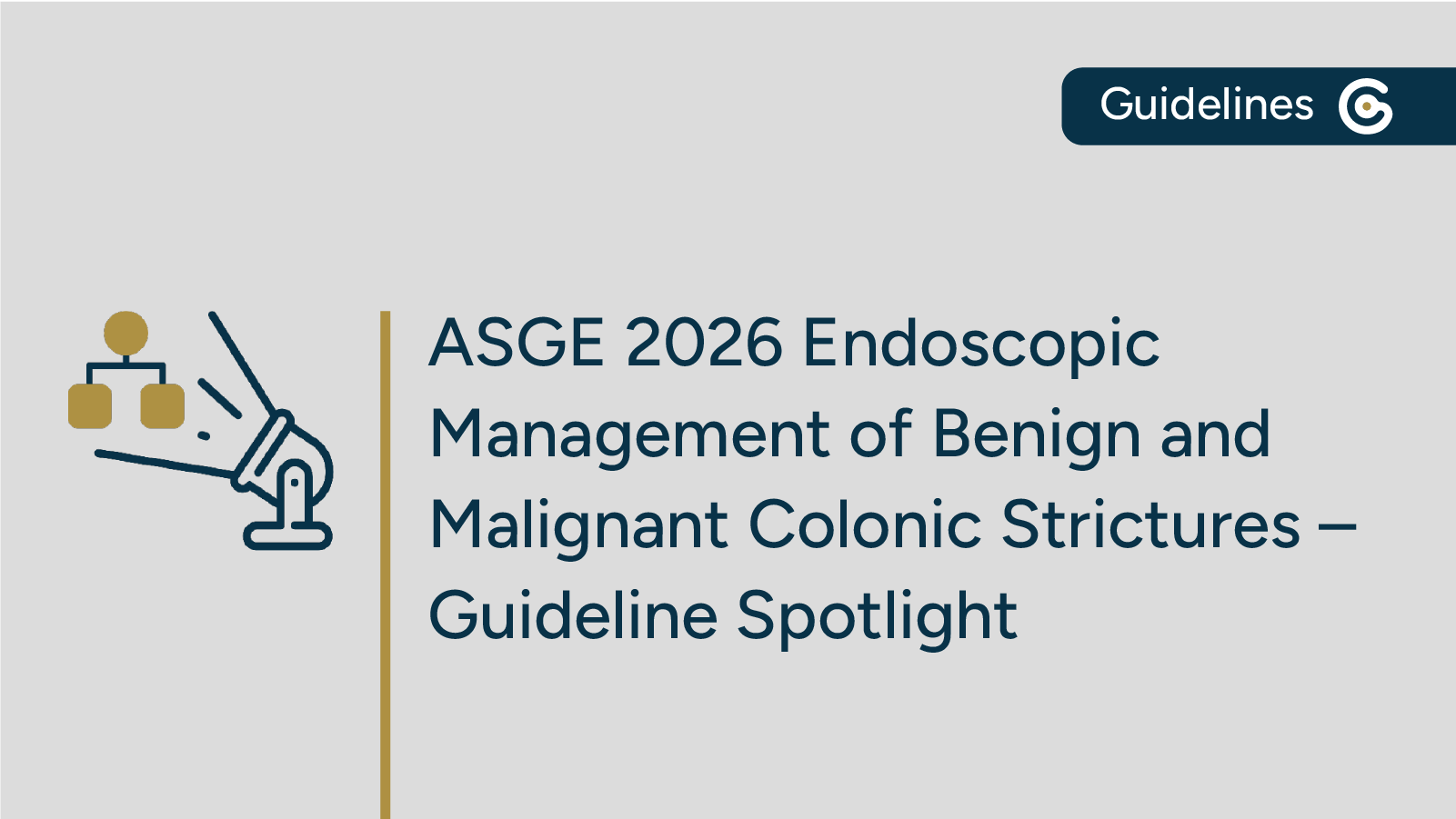 2026 ASGE Endoscopic Management of Benign and Malignant Colonic Strictures Guideline Now Available post image