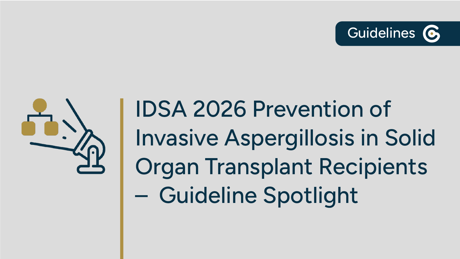 2026 IDSA Prevention of Invasive Aspergillosis in SOT Recipients Guideline Update featured image
