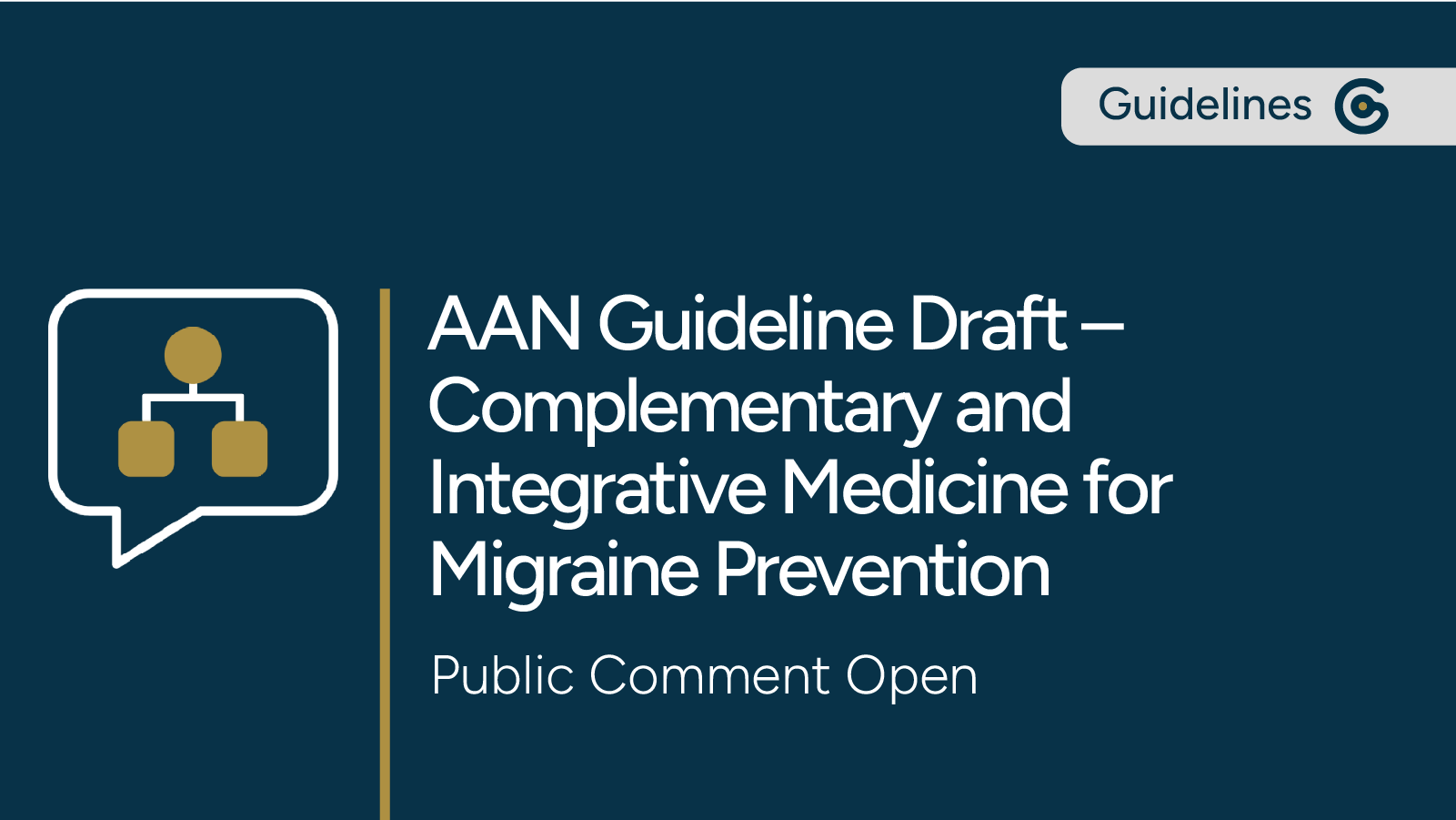 AAN Guideline Draft for Complementary & Integrative Medicine for Migraine Prevention – Public Comment Open featured image