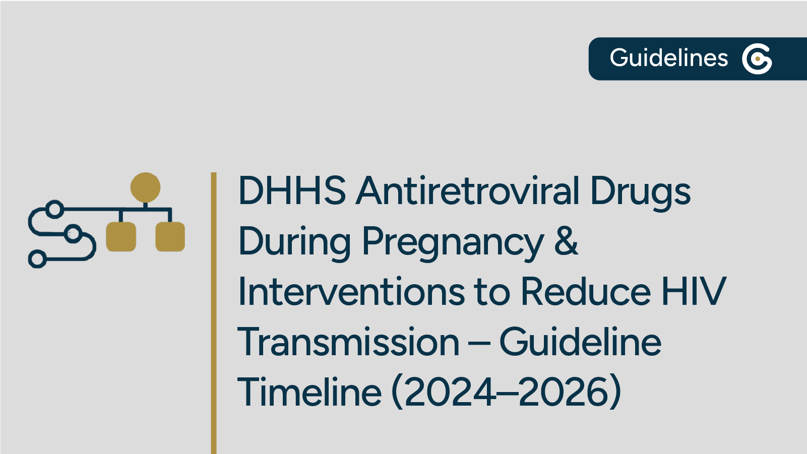 DHHS Antiretroviral Drugs Pregnancy Timeline