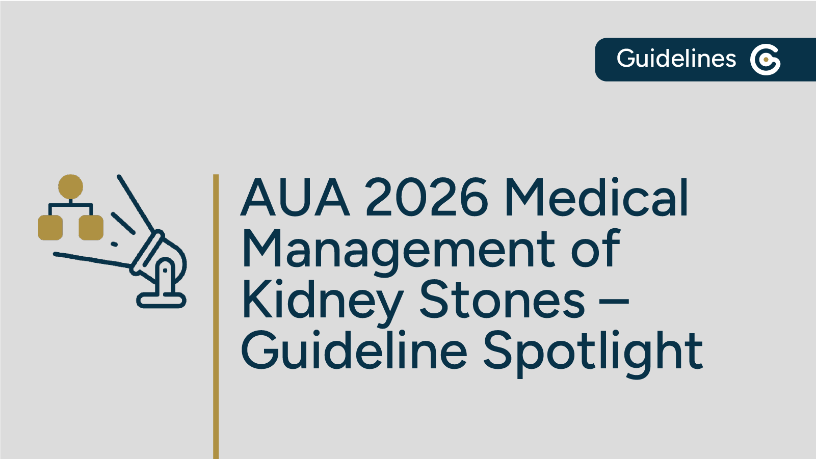 2026 AUA Medical Management of Kidney Stones Guideline Now Available featured image