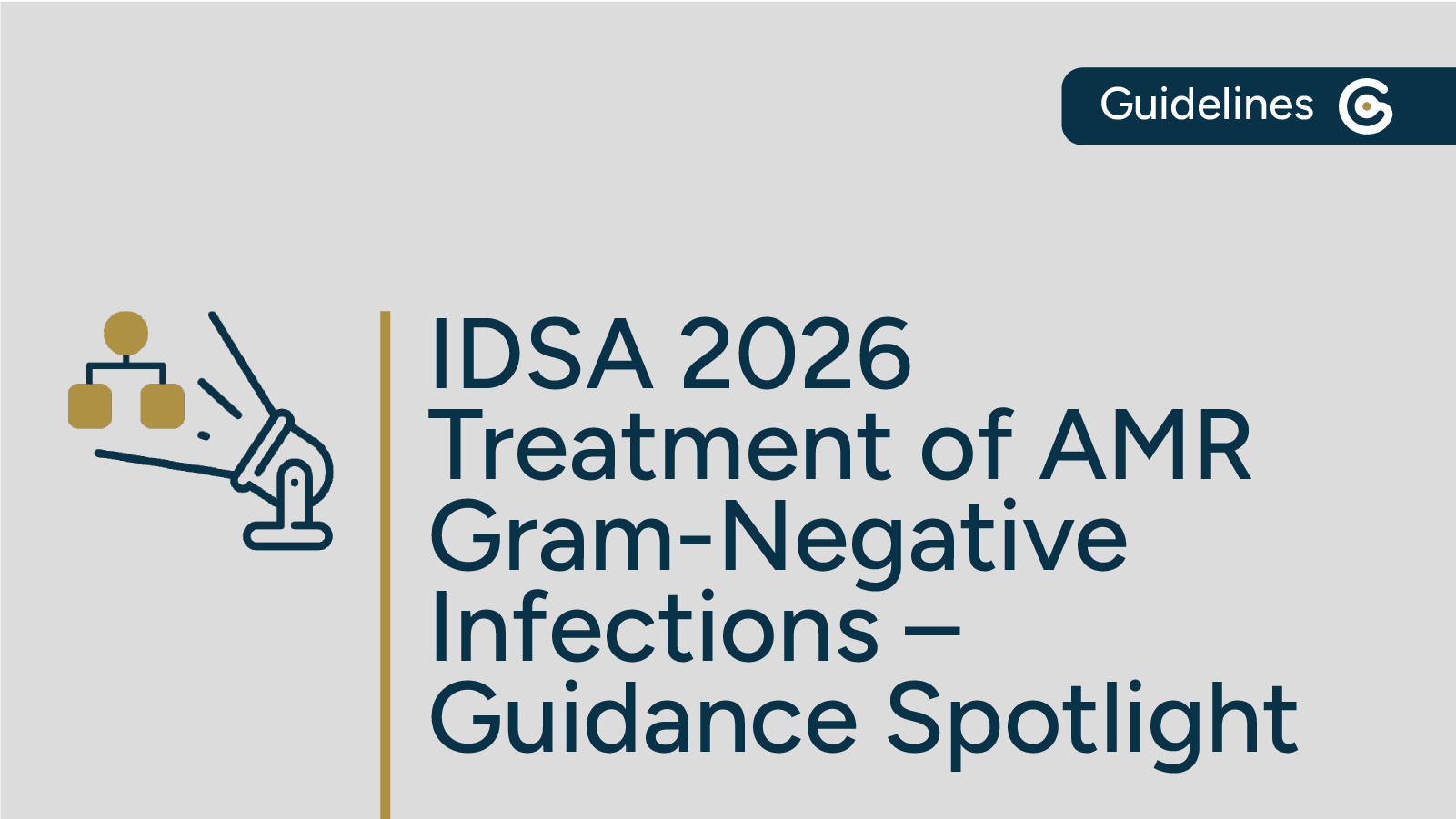 2026 IDSA Management of Treatment of AMR Gram-Negative Infections Guidance Now Available featured image