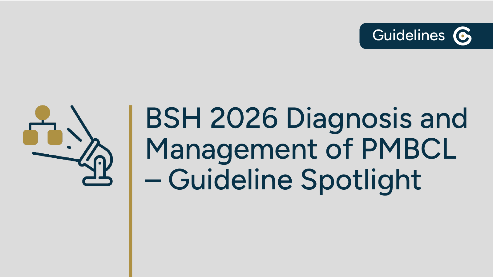2026 BSH Management of Primary Mediastinal B-Cell Lymphoma Guideline Now Available featured image