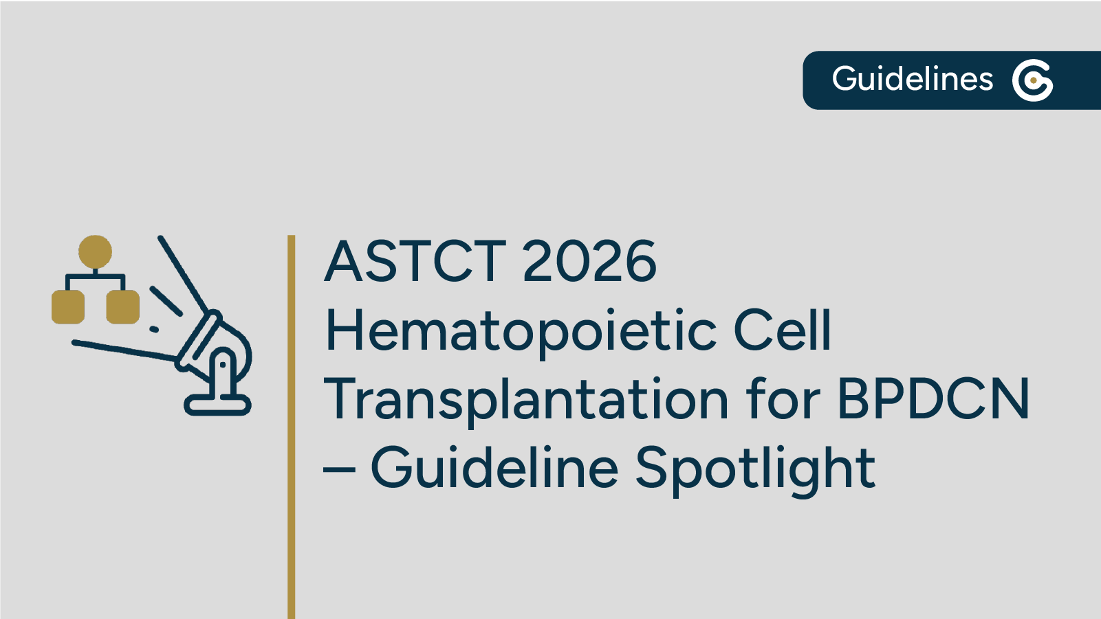 2026 ASTCT Hematopoietic Cell Transplantation for Blastic Plasmacytoid Dendritic Cell Neoplasm Guideline Available featured image