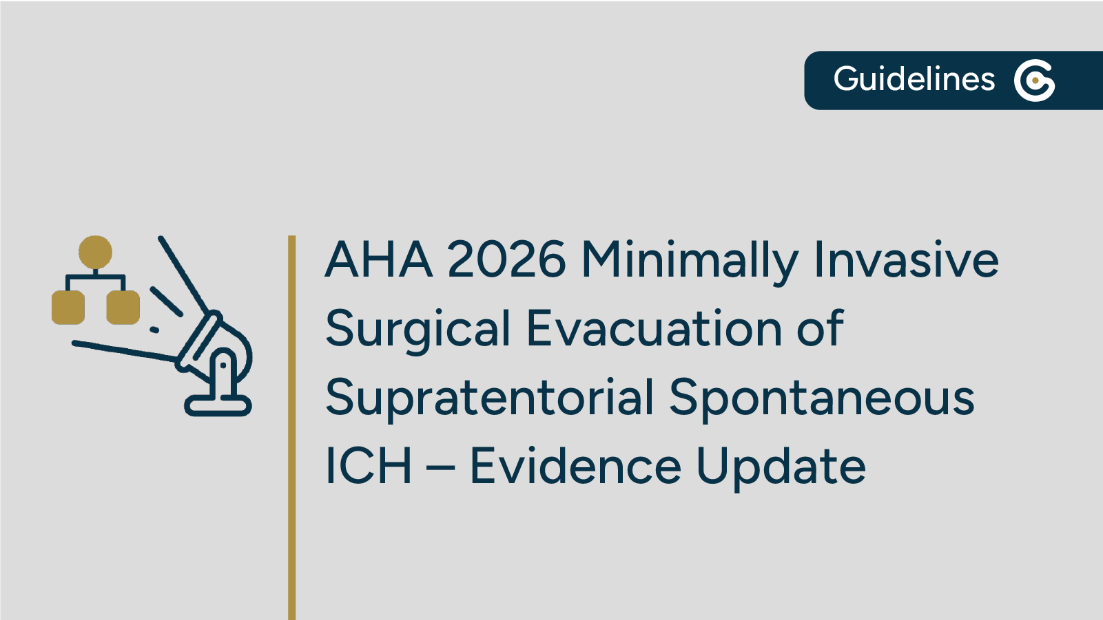 2026 AHA Evidence Update ICH