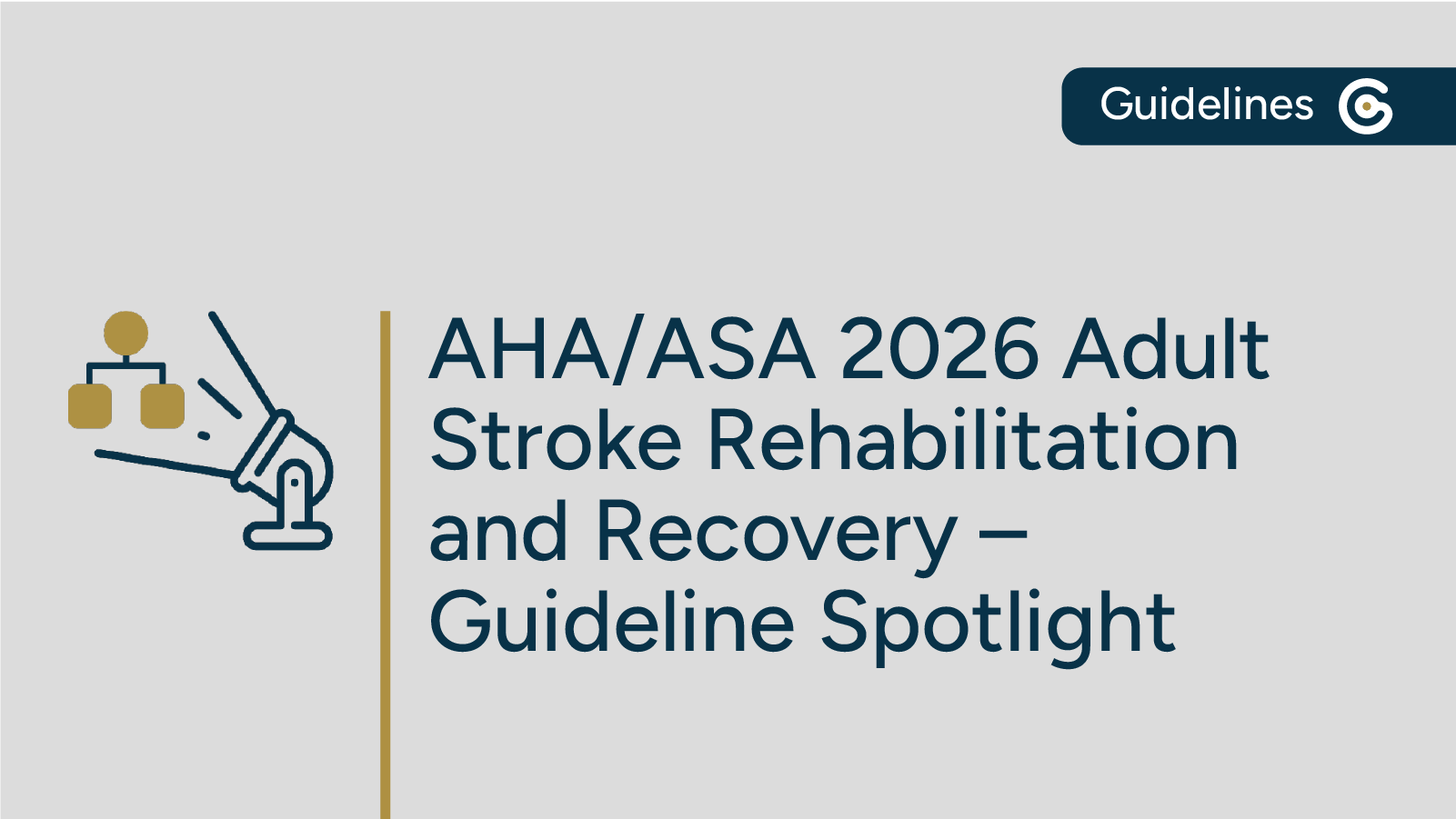 AHA ASA 2026 Stroke Rehab and Recovery Guideline