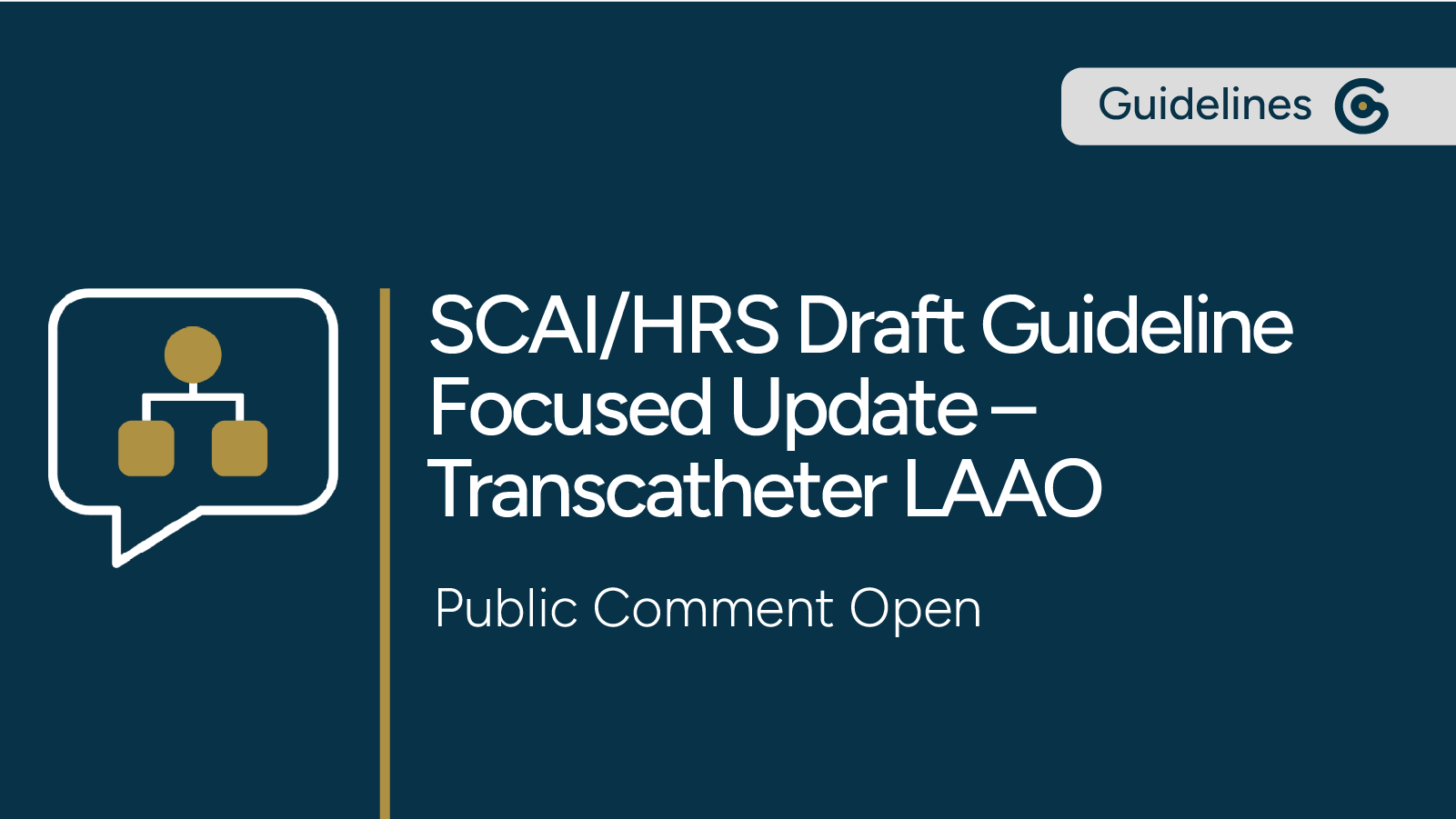 SCAI/HRS Draft Guideline Update for Transcatheter Left Atrial Appendage Occlusion Open for Comment featured image