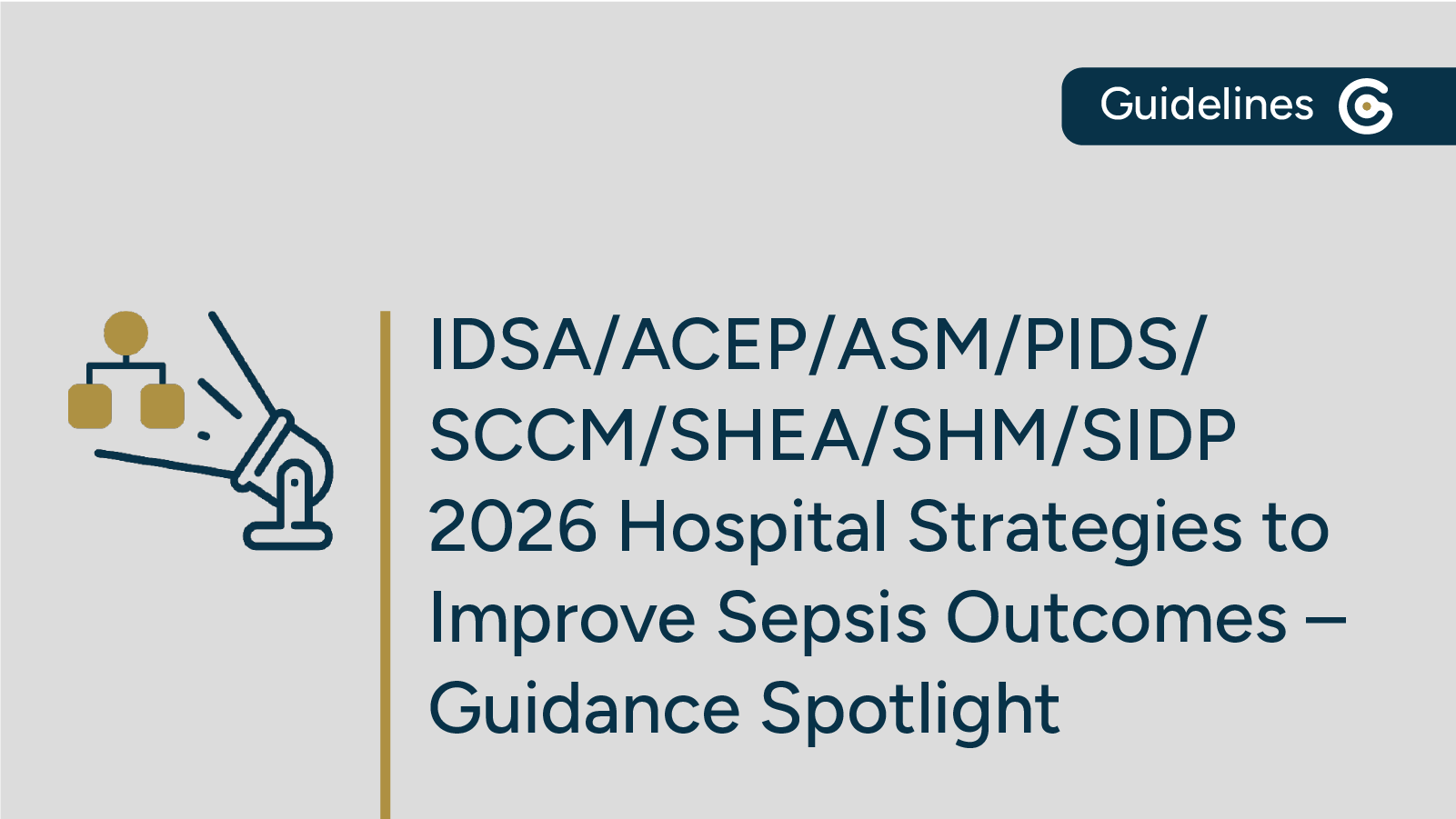 New 2026 IDSA/ACEP/ASM/PIDS/SCCM/SHEA/SHM/SIDP Hospital Strategies to Improve Sepsis Outcomes Guidance Now Available featured image