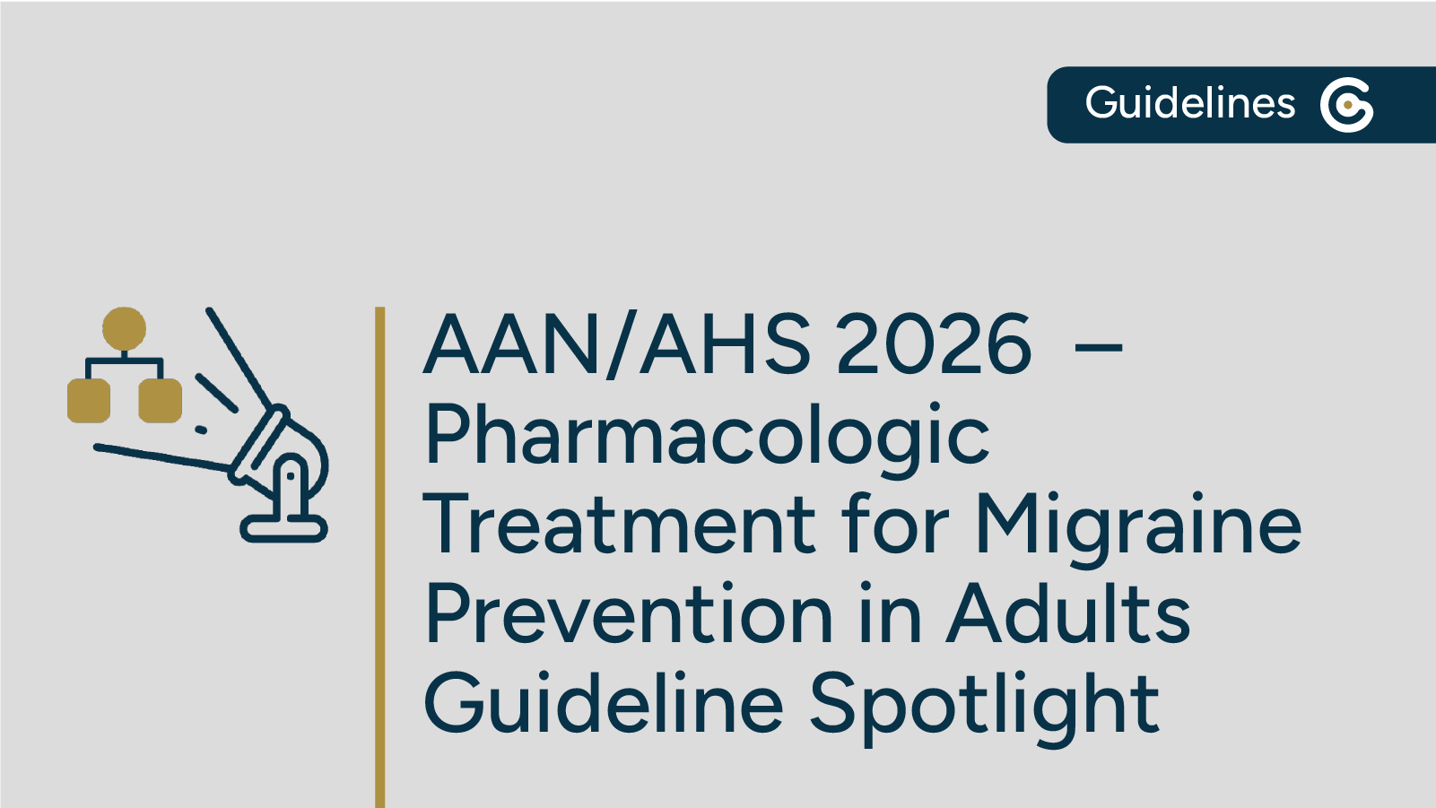 AAN AHS Treatment for Migraine Prevention Guideline Spotlight