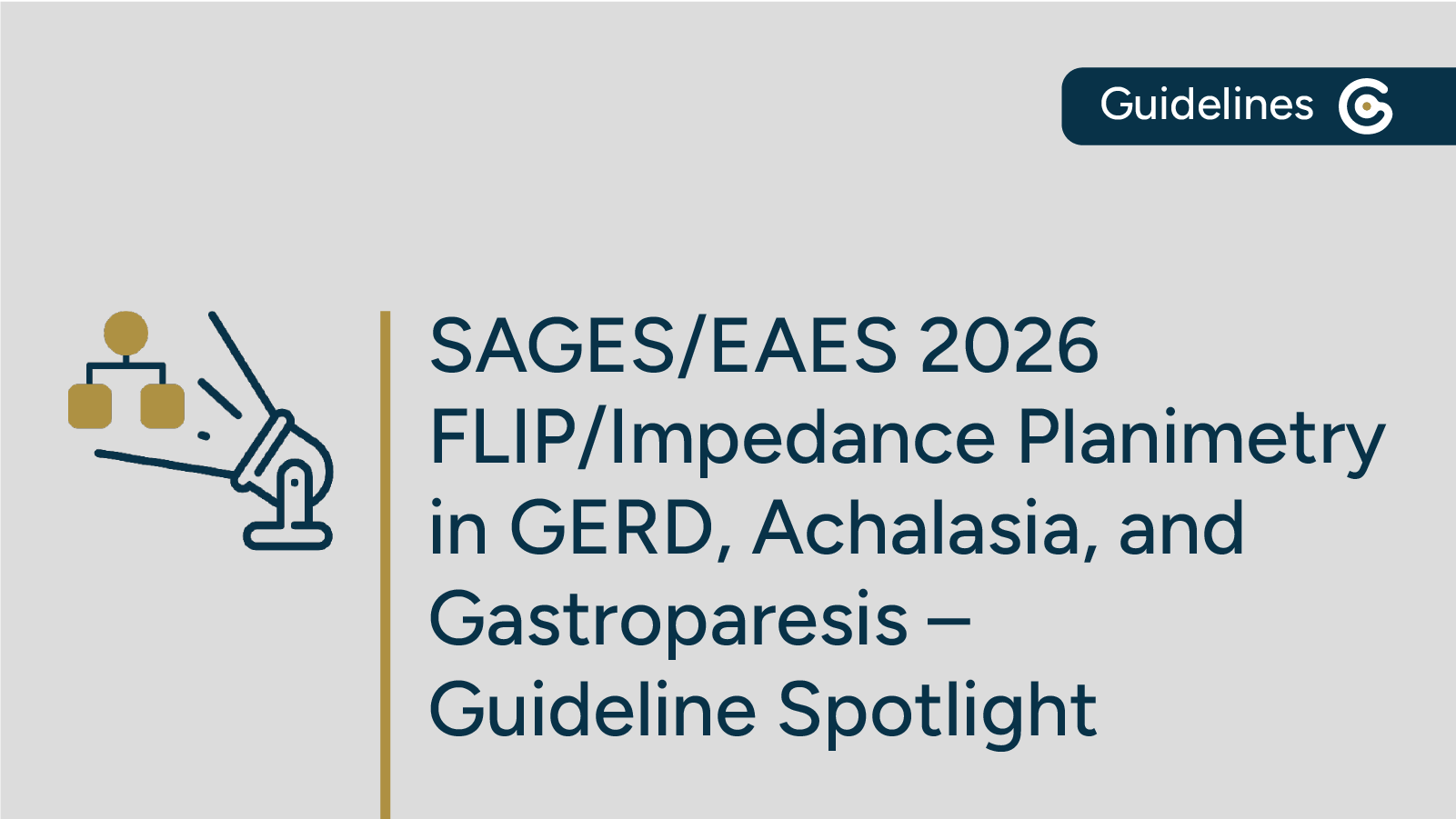 SAGES EAES 2026 FLIP Guideline