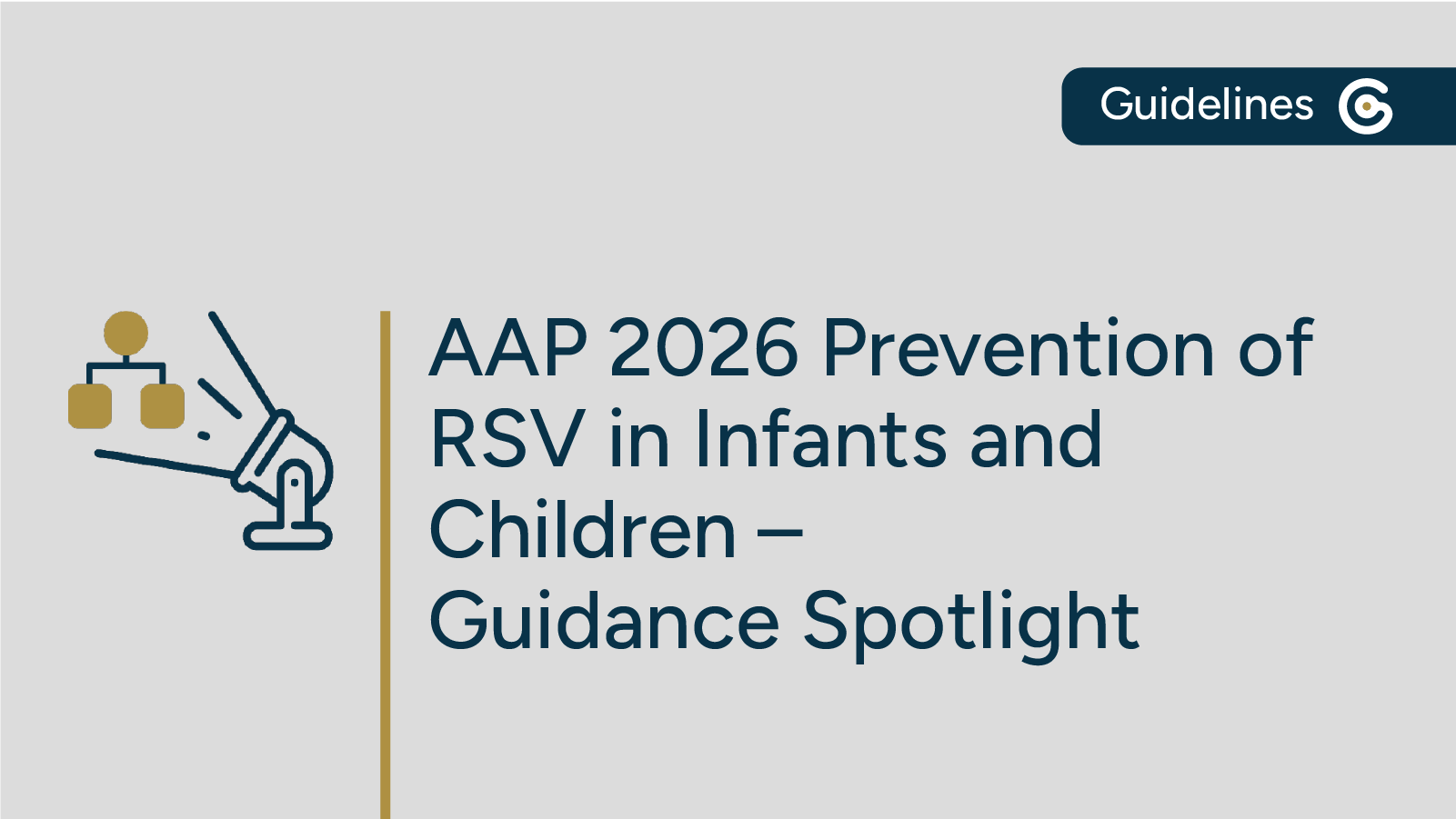 2026 AAP RSV Guidance